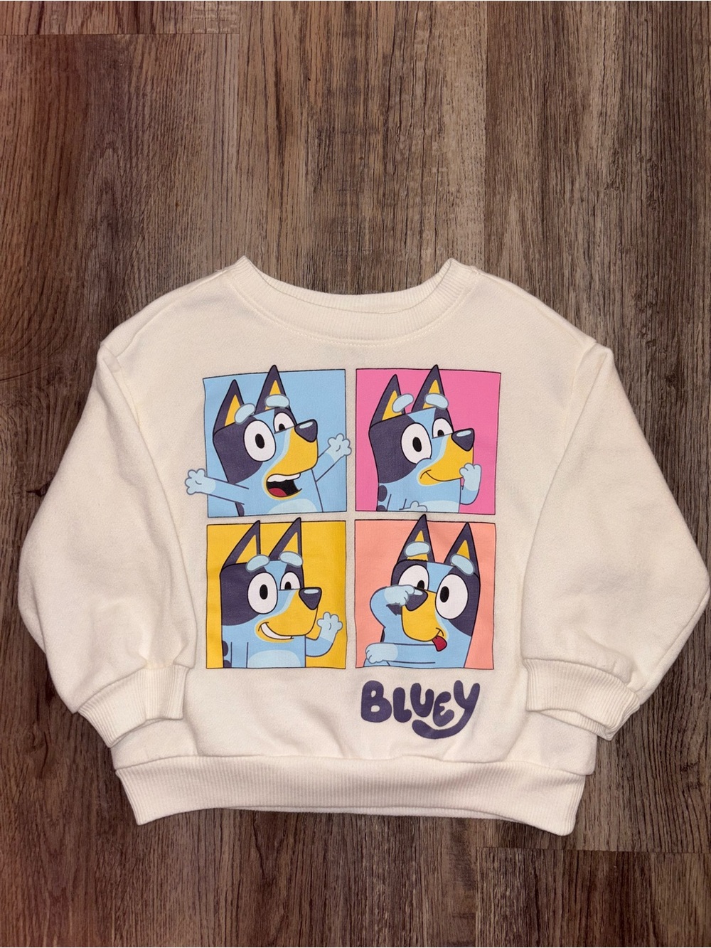 USED Toddler Bluey Sweatshirt